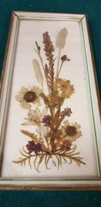 droogbloemen in lijst vintage ddr, Ophalen of Verzenden