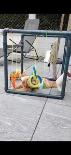 Puppy gym, Dieren en Toebehoren, Ophalen, Zo goed als nieuw