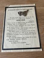 Satirisch pamflet adolf h, Ophalen of Verzenden, Nederland, Embleem of Badge