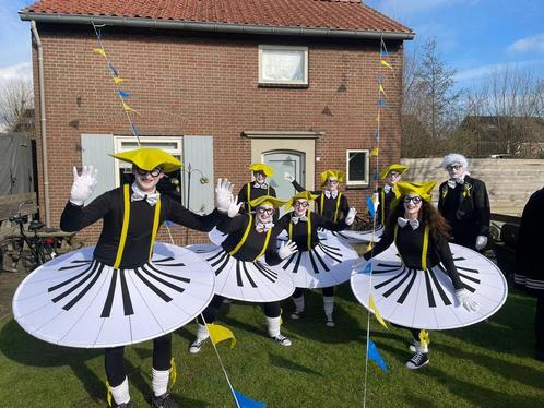 Loopgroep carnaval 13 personen pakken en accessoires, Hobby en Vrije tijd, Feestartikelen, Zo goed als nieuw, Kostuum, Carnaval