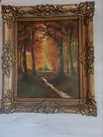 Herfstlandschap Schilderij met Gouden Lijst van F. Dolezal, Antiek en Kunst, Ophalen of Verzenden