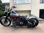 harley davidson, Particulier, 2 cilinders, Chopper, Meer dan 35 kW