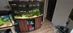 Juwel Vision 260 Aquarium, Dieren en Toebehoren, Ophalen, Gebruikt, Leeg aquarium