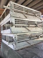 Duivenkorf reiskorven aluminium opleermand, Dieren en Toebehoren, Vogels | Duiven, Meerdere dieren, Overige soorten