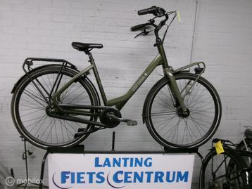 Cortina COMMON  50  CM beschikbaar voor biedingen