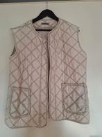 Nieuwe ecru gilet / bodywarmer maat XL, Ophalen of Verzenden, Nieuw, Maat 46/48 (XL) of groter, Beige
