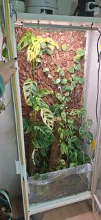 Ikea milsbo, Ophalen, 50 tot 100 cm, Glas, 150 tot 200 cm