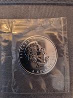 Zilveren Maple Leaf 2007, Ophalen of Verzenden, Zilver