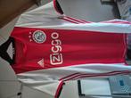 Ajax shirt seizoen '19-'20, Ophalen of Verzenden, Zo goed als nieuw
