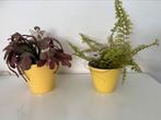 2 gele ribbel bloempotjes, ADCO, Huis en Inrichting, Ophalen of Verzenden, Gebruikt