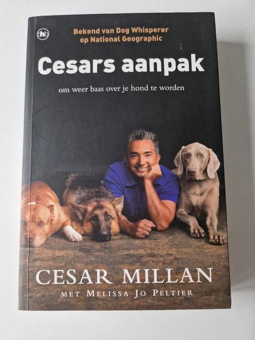Cesars aanpak - Cesar Millan, Boeken, Dieren en Huisdieren, Zo goed als nieuw, Honden, Ophalen of Verzenden