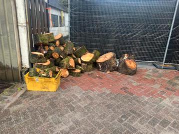 Gezaagd brandhout - nog te kloven beschikbaar voor biedingen