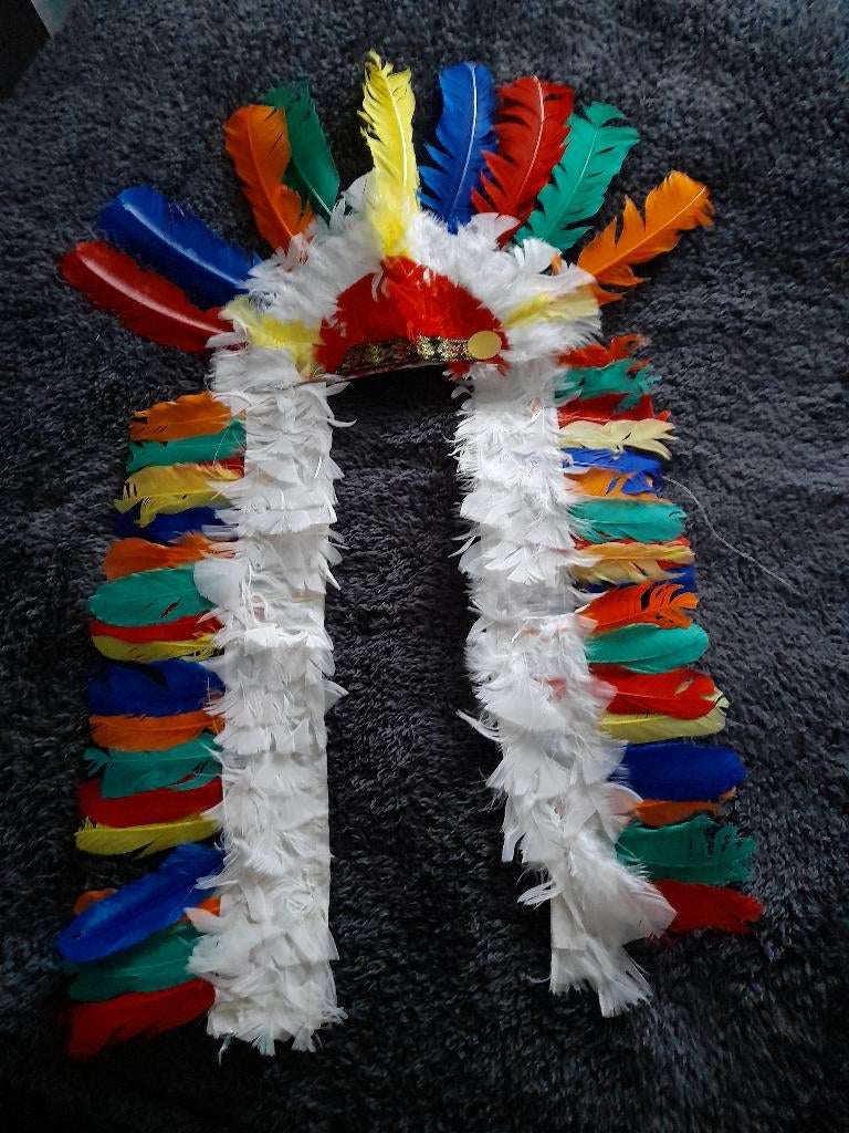 Carnavalskleding, Carnaval, Maat 42/44 (L), Ophalen of Verzenden, Onbekend