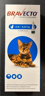 Nieuw! Bravecto pipet kat (2,8-6,25 kg), Dieren en Toebehoren, Ophalen of Verzenden, Nieuw