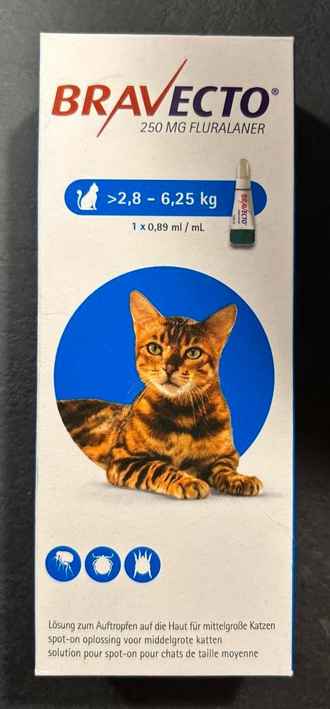 Nieuw! Bravecto pipet kat (2,8-6,25 kg), Dieren en Toebehoren, Katten-accessoires, Nieuw, Ophalen of Verzenden