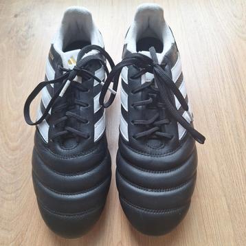 Bijna niet gedragen

Addidas Copa Icon voetbalschoen
 beschikbaar voor biedingen