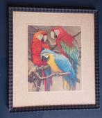 Ara Papegaaien - Jan Voerman jr, Ophalen of Verzenden