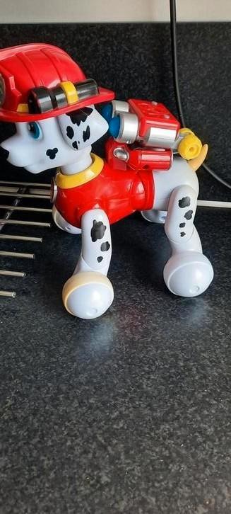 Paw patrol robot hond beschikbaar voor biedingen