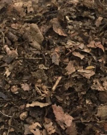 Bladhumus  beschikbaar voor biedingen