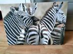 Canvas schilderij zebra, Antiek en Kunst, Kunst | Schilderijen | Modern, Ophalen