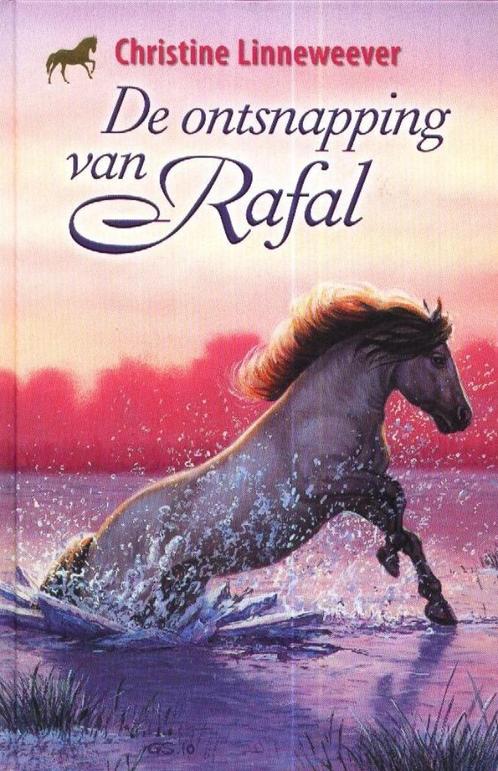 De ontsnapping van Rafal - Christine Linneweever  Rafal is e, Boeken, Kinderboeken | Jeugd | 10 tot 12 jaar, Gelezen, Verzenden
