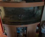 Ik heb een aquarium te koop, Dieren en Toebehoren, Vissen | Aquaria en Toebehoren, Ophalen, Zo goed als nieuw