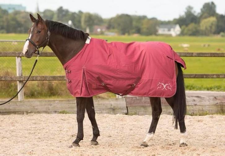 Harry’s horse outdoordeken 0 gram fleece 175 nieuw, Dieren en Toebehoren, Paarden en Pony's | Dekens en Dekjes, Nieuw, Deken, Ophalen of Verzenden