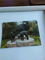 TEXEL OOSTEREND / HET TEXELSE SCHAAP, Ophalen of Verzenden