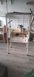 Grote vogelkooi, Dieren en Toebehoren, Vogels | Hokken en Kooien, Ophalen, Gebruikt, Metaal, Vogelkooi