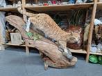 Grote Opgezette kater, Ophalen, Zo goed als nieuw, Opgezet dier