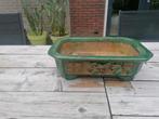 Oude Bonsaischaal - Groen geglazuurd, Tuin en Terras, Bloempotten, Ophalen, Gebruikt, Tuin, Aardewerk