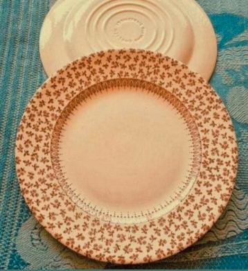 Ironstone England creme borden kleine rode roosje bloemetjes beschikbaar voor biedingen