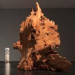 Uniek stuk Kienhout / Driftwood / Spiderwood, Hout Decoratie, Ophalen of Verzenden, Zo goed als nieuw, Plant(en), Steen of Hout