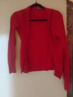 Rode vest maat l, Ophalen of Verzenden, Gedragen, Rood