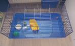 Konijnenkooi caviakooi., Dieren en Toebehoren, Kooi, Gebruikt, Minder dan 75 cm, Hamster