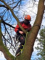 Bomen snoeien verwijderen kappen, Tuin en Terras, Planten | Bomen, Ophalen of Verzenden, Volle zon, Overige soorten