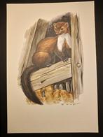 Steenmarter, Verzenden, 1980 tot heden, Zo goed als nieuw, Prent