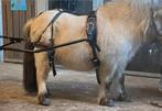 Uniek pony tuig, shet , mini. Biothane, Ophalen of Verzenden, Zo goed als nieuw, Overige soorten