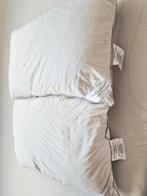 Goose down and feather pillow set, Ophalen, Gebruikt, Wit, Rechthoekig