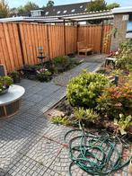 Gratis af te halen - tegels tuin, Ophalen, Gebruikt, 10 m² of meer, Terrastegels