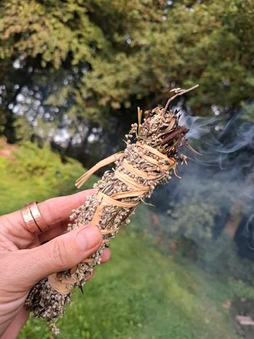 Biologische smudge stick bijvoet Artimissia Solidag beschikbaar voor biedingen