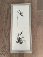 Basic zwart witte aquarel. Botanisch / Oosters. Gesigneerd, Ophalen