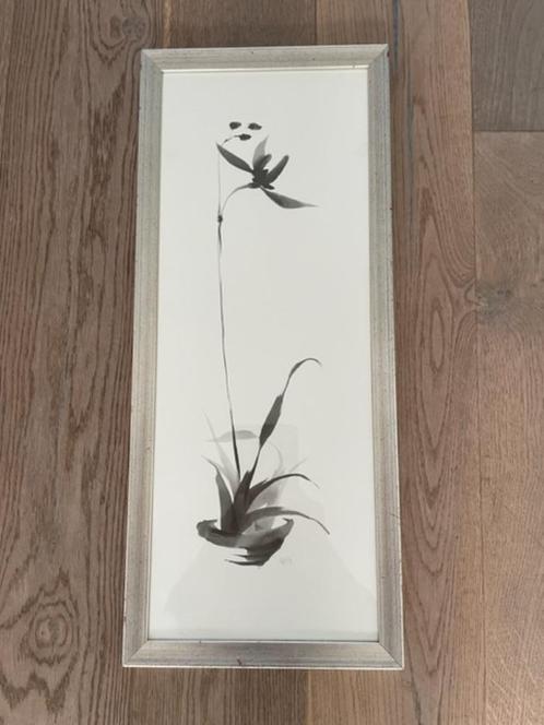 Basic zwart witte aquarel. Botanisch / Oosters. Gesigneerd, Antiek en Kunst, Kunst | Overige Kunst, Ophalen