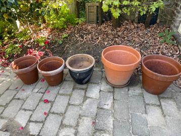 Bloem pot - Aardewerk - Terracotta beschikbaar voor biedingen