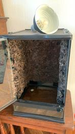 Terrarium, Dieren en Toebehoren, Reptielen en Amfibieën | Toebehoren, Ophalen, Zo goed als nieuw, Terrarium of Paludarium