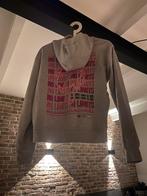 Hoodie van Amy & Ivy ( Sting) maat XS, Kleding | Dames, Ophalen of Verzenden, Gedragen, Maat 34 (XS) of kleiner, Grijs