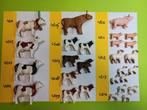 Playmobil Dieren 4501-4514 Koe Kalf Varken Big Schaap Lam, Verzenden, Gebruikt, Los playmobil