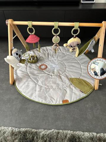 Tiny Love baby gym 