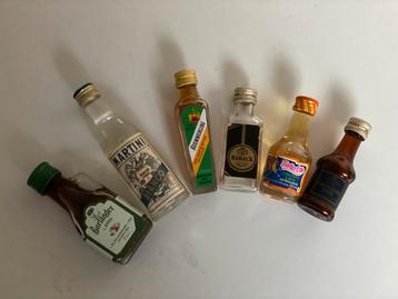 Miniatuur Flesjes Drank - Verzameling beschikbaar voor biedingen