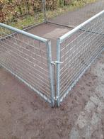 Schapen hekken, Meerdere dieren, Schaap